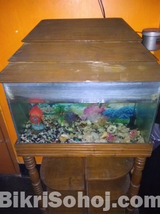 Aquarium with Fishes.